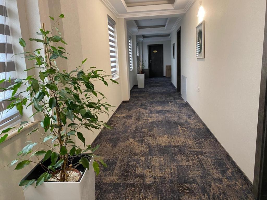 Hotel Yarus Plus Ploiesti Bagian luar foto